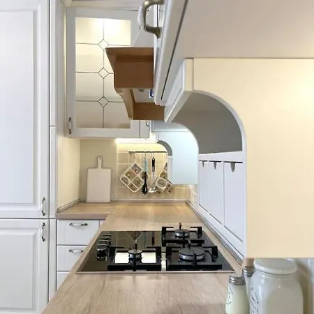 New Stylish And Airy 2 Bdrm With A Free Garage Apartment *